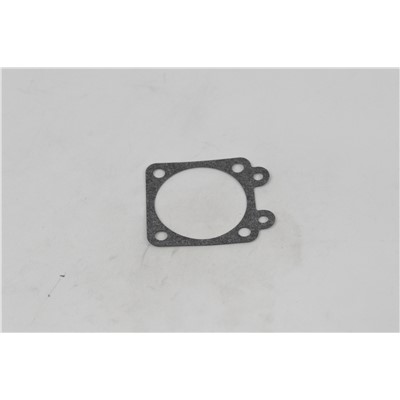 GASKET, METERING DIAPHRAGM