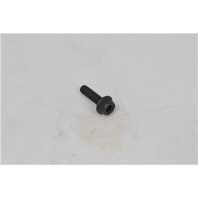 BOLT SOCKET HEAD 5 X 18