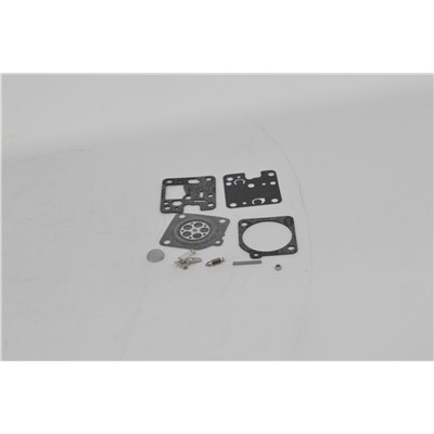 KIT, CARBURETOR REPAIR (REP P005001660)