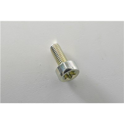 BOLT, TORX 4X10