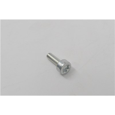 BOLT, TORX 4