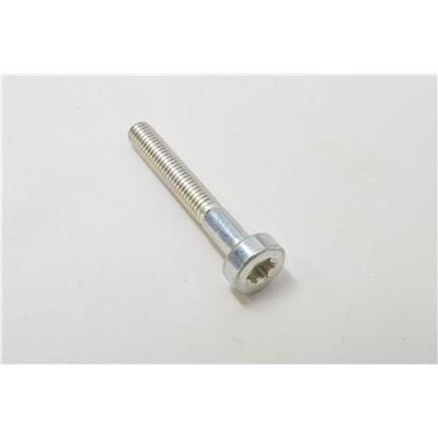 BOLT, TORX 5X35