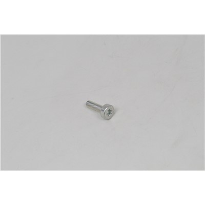 BOLT, TORX 5