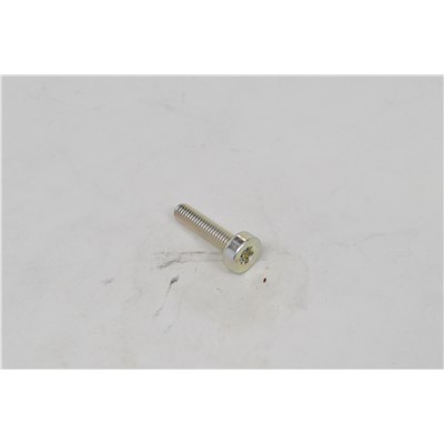 BOLT, TORX 5X20