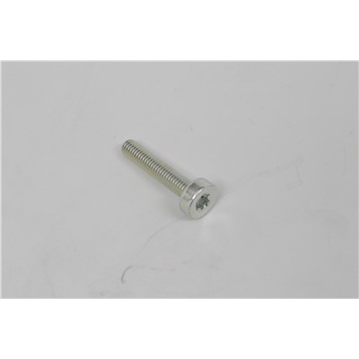 BOLT, TORX 5X35